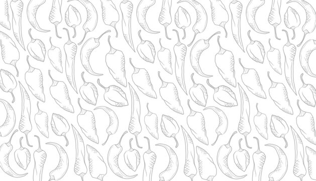Hot Chili Seamless Pattern Background with Hand Holding Chili. Classic Chili Pepper Illustration. Doodle Pepper Vector Pattern.