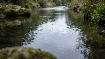 A calm river winds through a dense, verdant forest, with reflections of trees on the water's surface.