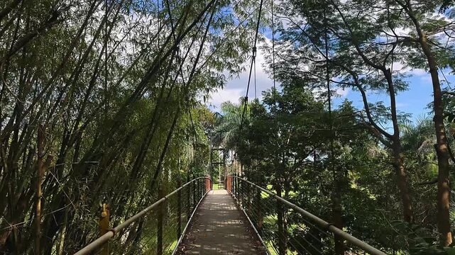 walking across a narrow suspension bridge surrounded by bamboo, palms, and dense tropical forest canopy