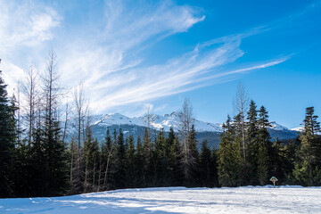 Alexander Falls in winter silence, Whistler, BC Canada