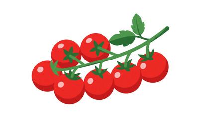 A vector graphic illustration of a cluster of red tomatoes on a vine © MdTobarak
