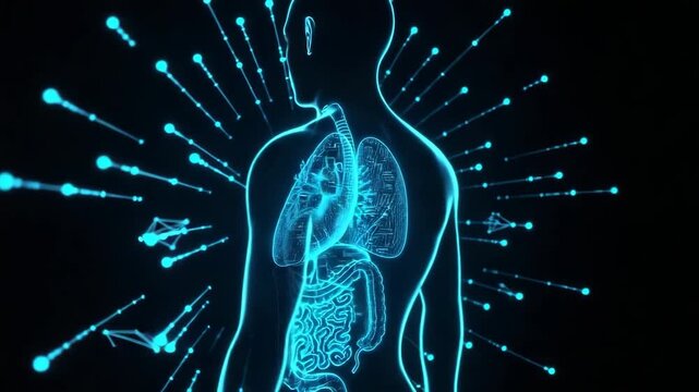 Glowing Side View Of Human Body Revealing Internal Organs Skeletal Structure Set Against Dark Background Suggestive Of Scientific Data Visualization Medical Illustration Purposes