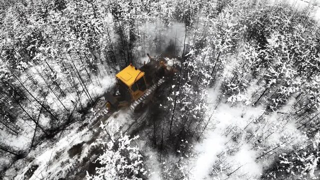 A yellow bulldozer clears a snowy forest path outdoors in winter, creating a clear route through the snow-covered trees.
