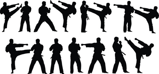 Martial arts karate silhouette collection, fighter kicking punching poses, combat training, self defense action, black vector illustration, sport discipline strength © MstAfzalun
