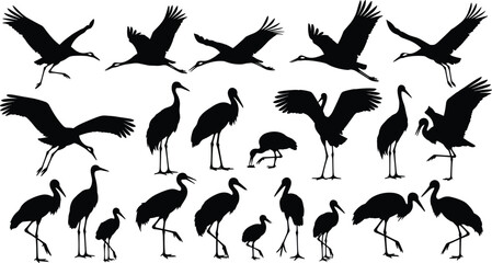 Obraz premium Crane and heron bird silhouette vector set with flying and standing poses, black waterbird illustration collection isolated on white background