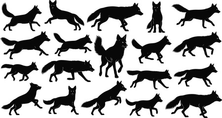 Black wolf silhouette collection with running walking standing poses vector wildlife animal illustration set isolated on white background