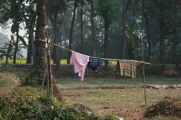 young woman doing yoga exercises in the park