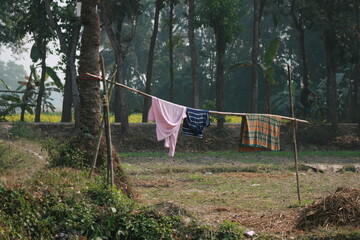 young woman in the park
