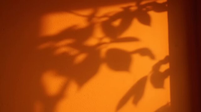 A video of leaves casting shadows on a wall, a still life generated video d9495af6-8efc-419b-8f1c-da15a6d53fab 1080