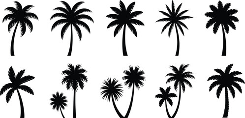 Collection of tropical palm tree silhouettes set, black vector isolated icons, exotic beach botanical elements for summer coastal landscape design bundle decorative illustration