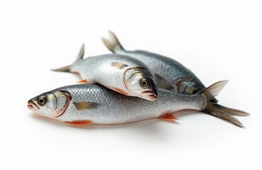 Fototapeta premium Three raw silver barb fish piled on a clean white surface. These uncooked, whole fish are ready for preparation or cooking. Ideal for food blogs recipes or market displays.