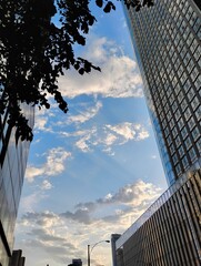 Naklejka premium Toronto, Ontario, Canada - June 21, 2025: Downtown Toronto skyline looking upward