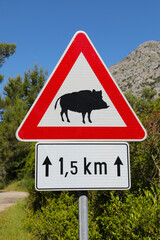 Warning Wild Boar Traffic Sign in Croatia