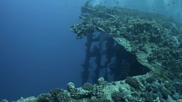 Exterior of the historic SS Carnatic wreck (sunk in 1869) lying on its port side on Abu Nuhas Reef.