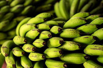 Unripe green bananas stacked in bunches, tropical fruit close-up with selective focus, fresh produce background for healthy diet and agriculture