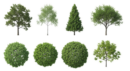 Fototapeta premium Six diverse, photorealistic trees (oak, maple, evergreen) with textured brown trunks and vibrant green foliage, isolated on transparent. composite of eye-level and aerial views. concept for