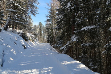 Sunny snowy hiking path in Arosa, Switzerland