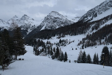 Fototapeta premium Snowy scene in Arosa, Switzerland