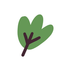 Obraz premium leaf nature design vector illustration