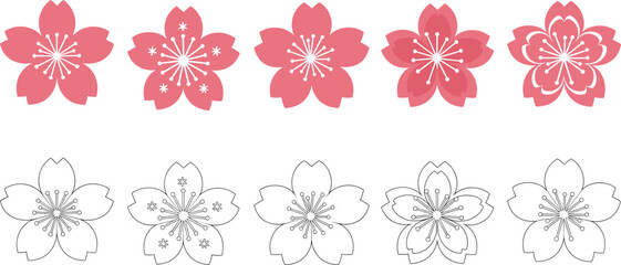 Fototapeta premium Cherry blossom flower icon set in pink and outline styles representing sakura floral spring decoration design elements