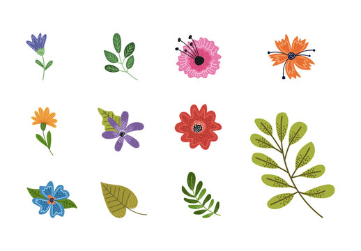 Patrones Florales Design Set