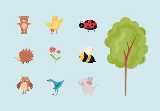 Spring Animals Illustration Design Set