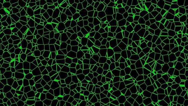 green screen looping animated background