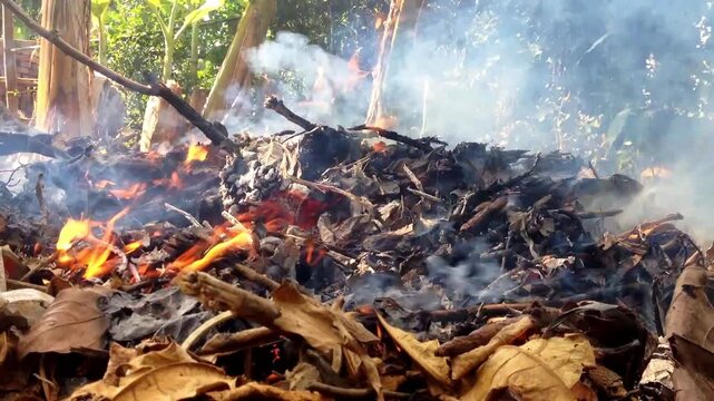 Yogyakarta, Indonesia - August 03, 2025: Open burning of waste near the yard area