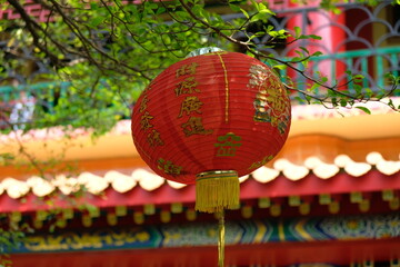 Traditional red Chinese lantern with golden calligraphy hanging from a tree branch