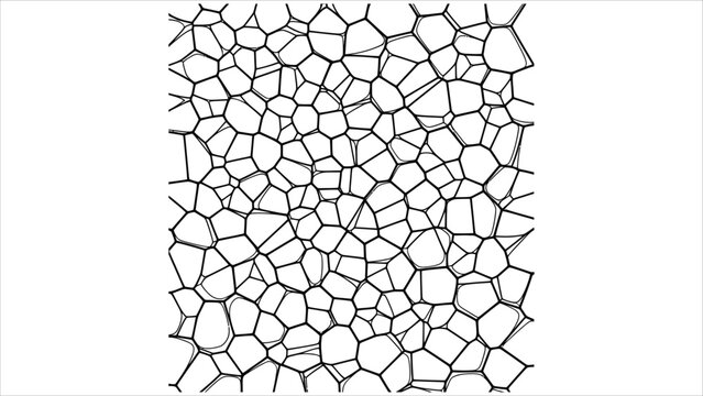 A minimalist, high-contrast, black-and-white line drawing of a Voronoi pattern or tessellation. The image features a seamless organic or cellular mesh of interconnected irregular polygonal shapes