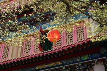 Traditional Chinese temple architecture with red lantern and blooming tree branches