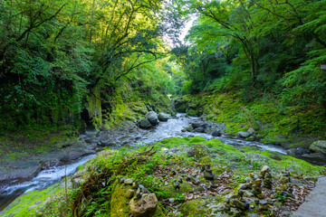 Obraz premium 五ヶ瀬川 「日本神話の源流へ(神話の舞台)――太陽の神が隠れた場所で、神秘の一瞬を体験。」 高千穂町(天安河原) Gokase River 