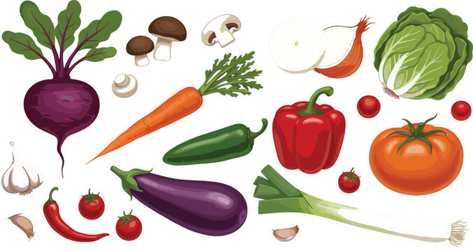 Fresh garden vegetable illustration set featuring beetroot carrots mushrooms eggplant bell peppers tomatoes leeks and garlic isolated on grey background