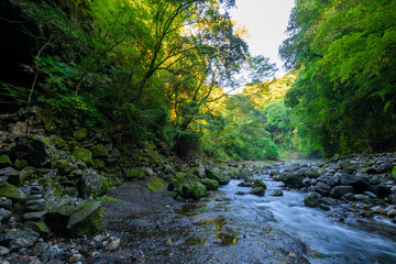Obraz premium 五ヶ瀬川 「日本神話の源流へ(神話の舞台)――太陽の神が隠れた場所で、神秘の一瞬を体験。」 高千穂町(天安河原) Gokase River 