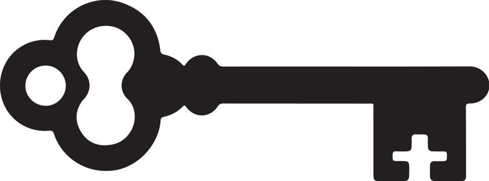 old key on white background