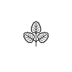 Lemon Balm icon line art medicinal herb 
