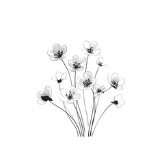  Lesser Celandine icon line art floral 