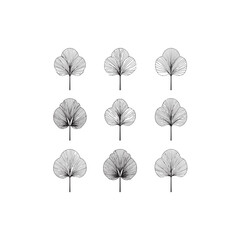 Linden Tree Flower icon line art nature illustration 