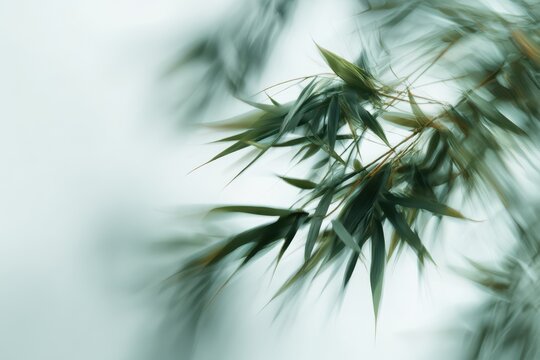 Bamboo Motion Blur &ndash; Zen Nature Abstract Background
