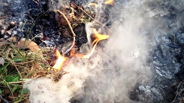 Yogyakarta, Indonesia - August 03, 2025: Open burning of waste near the yard area