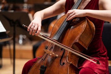Fototapeta premium Close up of female cellist hands playing cello with bow strings