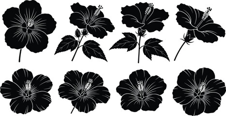 Hibiscus Flower Silhouette Collection Set, Tropical Hawaiian Floral Vector Illustrations, Black Botanical Summer Design Elements Isolated on White Background Graphics © clickwavebd