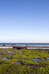 제주 광치기해변