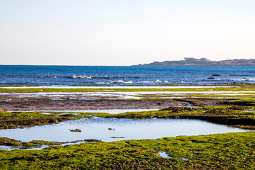 제주 광치기해변