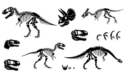 Collection of black and white dinosaur skeletons and skulls vector illustration set for educational and prehistoric design © Abirex