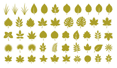 Collection of green leaves and foliage set isolated on white background for botany nature design
