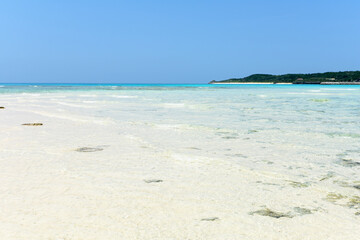 美しい海の風景