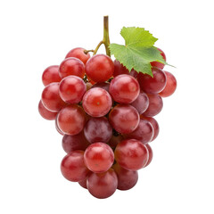 Fototapeta premium A bunch of red grapes isolated on transparent background