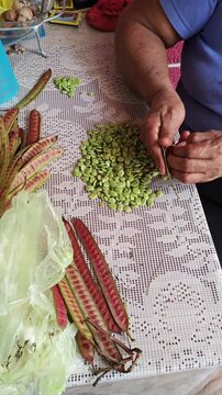 Hands shelling and selecting green seeds from guaje pods.