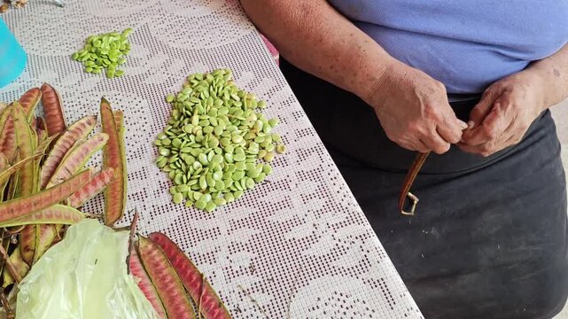 Close up of a pile of green guaje seeds being sorted on a patterned surface.
